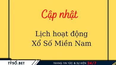 Cập nhật lịch hoạt động Xổ Số Miền Nam