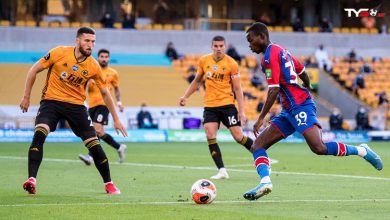 Nhận định kèo bóng Wolves vs Crystal Palace - Bầy sói khó thắng