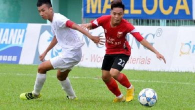 binh dinh vs an giang