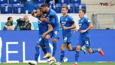 hoffenheim vs crvena zvezda 1