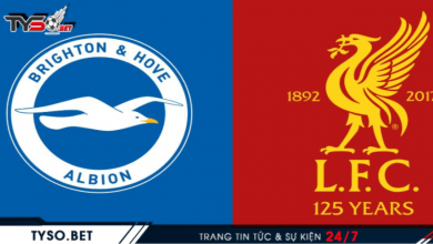 Nhận định Brighton vs Liverpool 28/11 - Gượng dậy sau thất bại