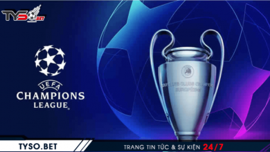 LỊCH THI ĐẤU BÓNG ĐÁ HÔM NAY 25/11 MỚI NHẤT