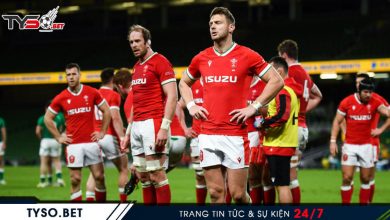 Nhận định Nations League Wales vs Ireland
