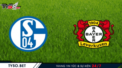 Nhận định Schalke vs Bayer Leverkusen 07/12