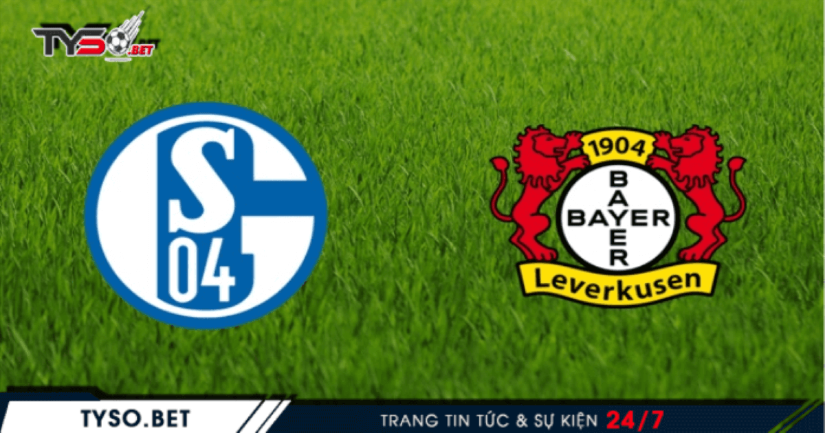 Nhận định Schalke vs Bayer Leverkusen 07/12