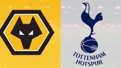 Nhận định Wolves vs Tottenham Hotspur 28/12 - "Gà trống" vực dậy