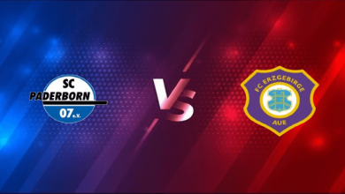 Nhận định Paderborn vs Aue - 10/01