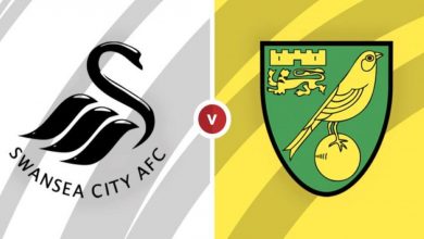 Nhận định Swansea City vs Norwich City 06/02- Thiên nga cất cánh