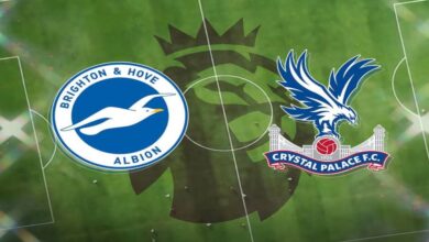 Nhận định Brighton vs Crystal Palace - Mòng biển cất cánh