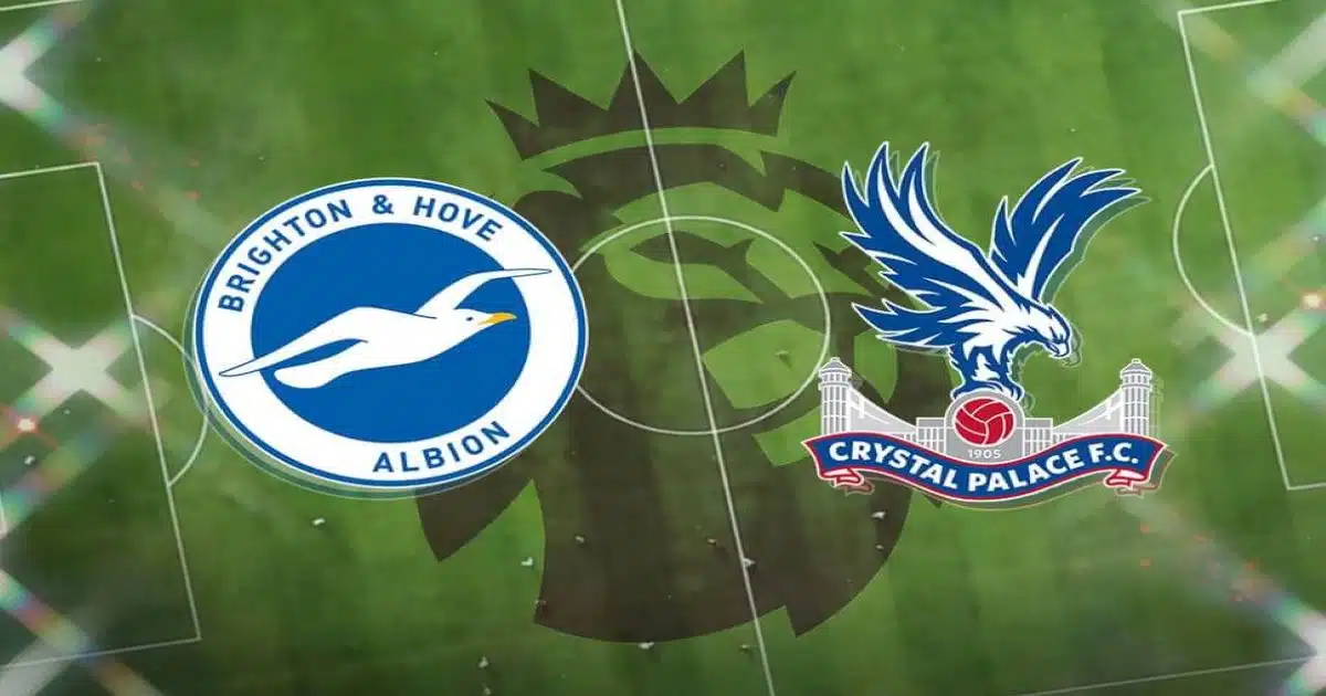 Nhận định Brighton vs Crystal Palace - Mòng biển cất cánh
