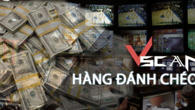 Vscan.FI.Hang danh cheo