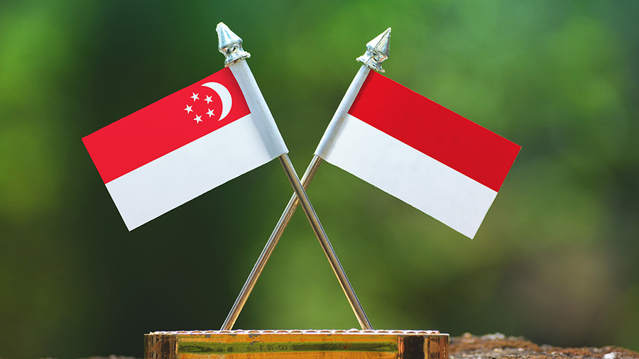 Nhận định Indonesia vs Singapore, 19h30 ngày 25/12