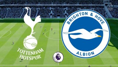 tottenham vs brighton