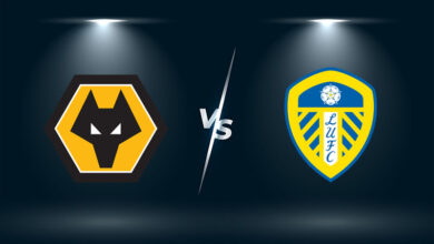 soi keo ca cuoc mien phi ngay 19 03 wolves vs leeds giu lai 3 diem