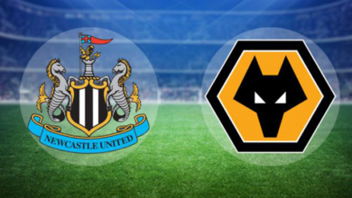 Wolverhampton Wanderers vs Newcastle United teams stats up
