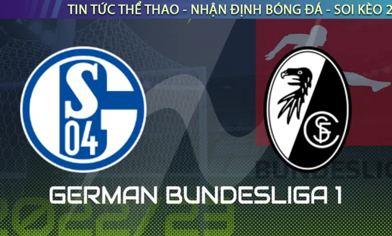 Nhận định bóng đá Schalke vs Freiburg, 23h30 ngày 30/10