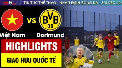 Nhận định bóng đá Việt Nam vs Dortmund 19h00, 30/11