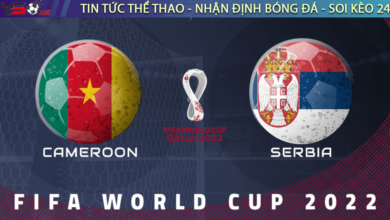 Nhận định bóng đá Cameroon vs Serbia, 17h00 ngày 28/11