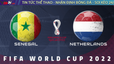 Nhận định bóng đá Senegal vs Hà Lan, 23h ngày 21/11