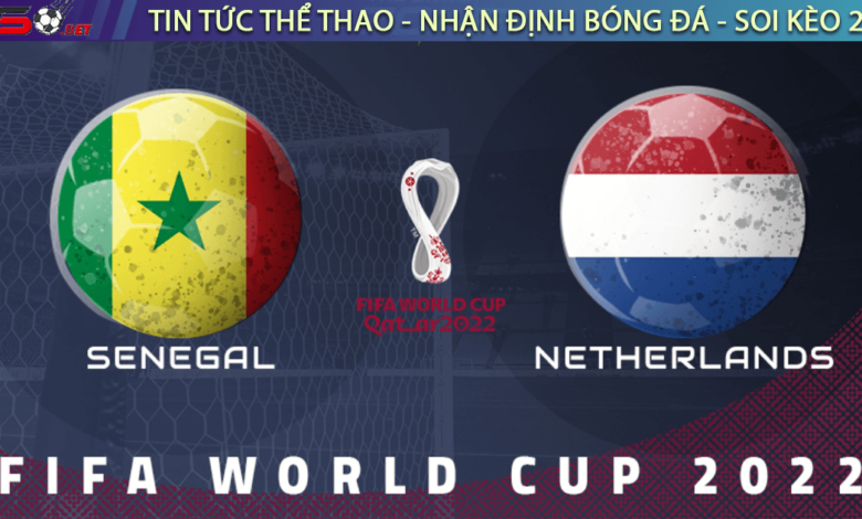 Nhận định bóng đá Senegal vs Hà Lan, 23h ngày 21/11