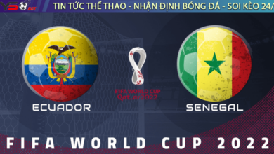 Nhận định bóng đá World Cup 2022 Ecuador vs Senegal 22h ngày 29.11