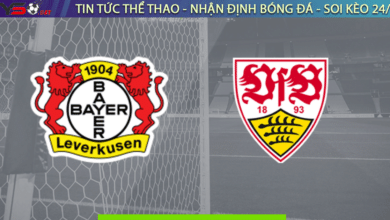 Nhận định bóng đá Leverkusen vs Stuttgart, 21h30, 12/11