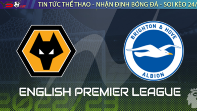 Wolves vs Brighton