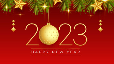 2023: Đầu xuân may mắn, vạn sự như ý.