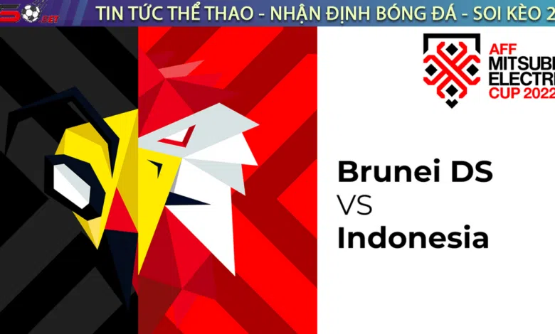 Nhận định bóng đá Brunei vs Indonesia, 17h00 ngày 26/12