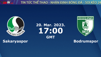 Nhận định bóng đá Sakaryaspor vs Bodrumspor, 00h00 ngày 21/03