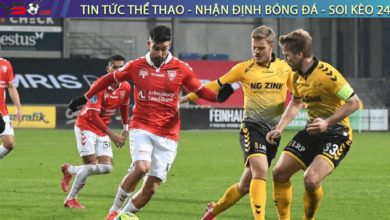 Nhận định bóng đá Vejle vs Brondby, 00h00 ngày 29/08