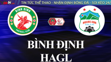 Binh Dinh vs HAGL