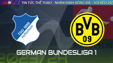 Dortmund vs Hoffenheim