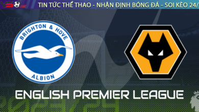 Brighton vs Wolves
