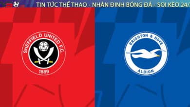 sheffield vs brighton