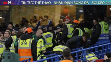 CĐV nhập viện vì sự cố hy hữu tại Euro 2024