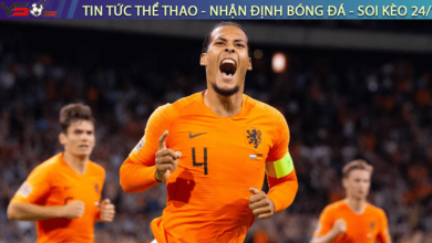 Virgil van Dijk - Trung Vệ Xuất Sắc Nhất Của Euro 2024