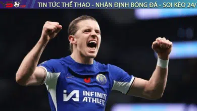 nhan dinh tyso.bet 581