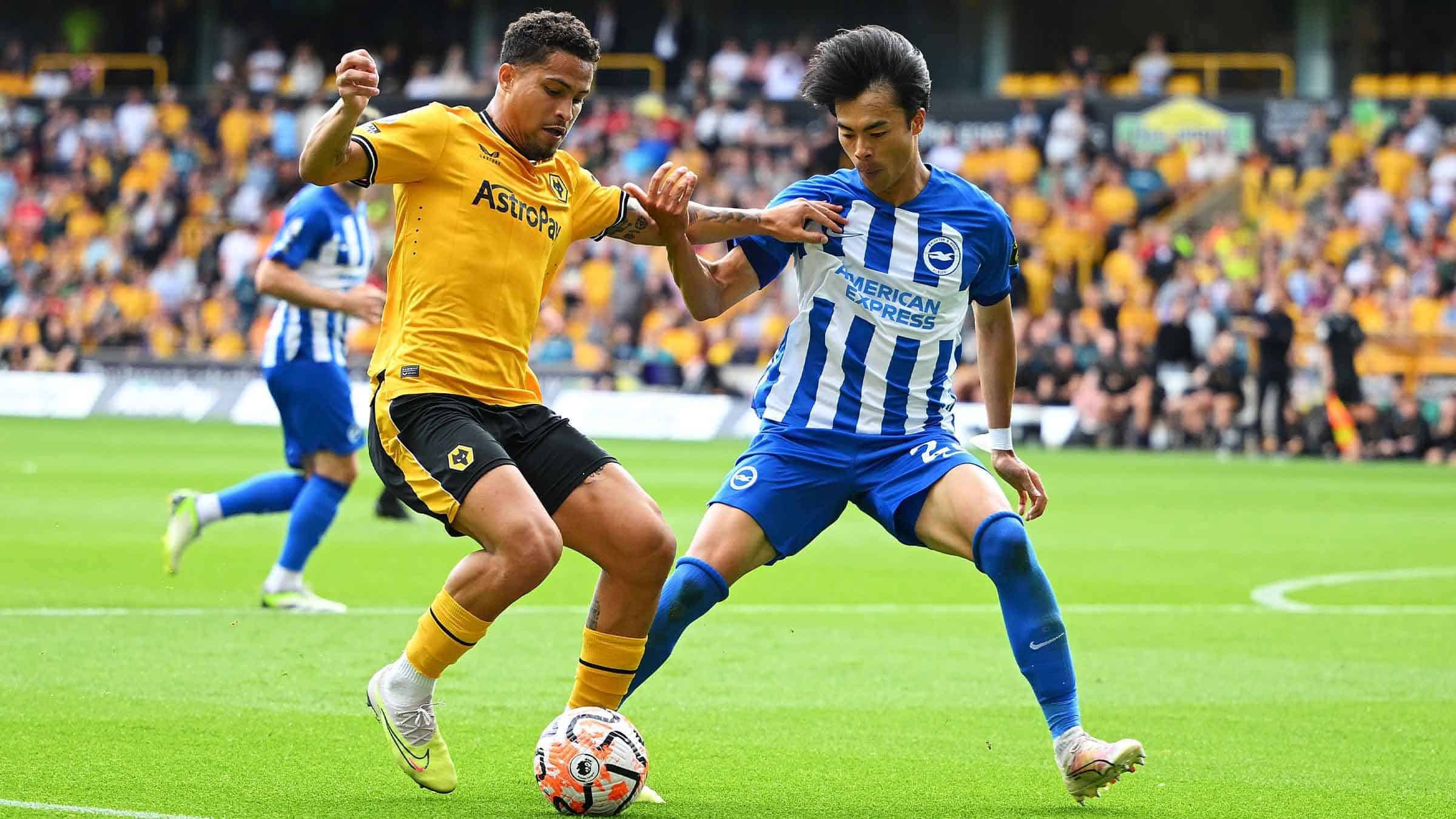 Nhận định bóng đá Brighton vs Wolves 21h00 ngày 26/10 (Ngoại Hạng Anh 2024/25)