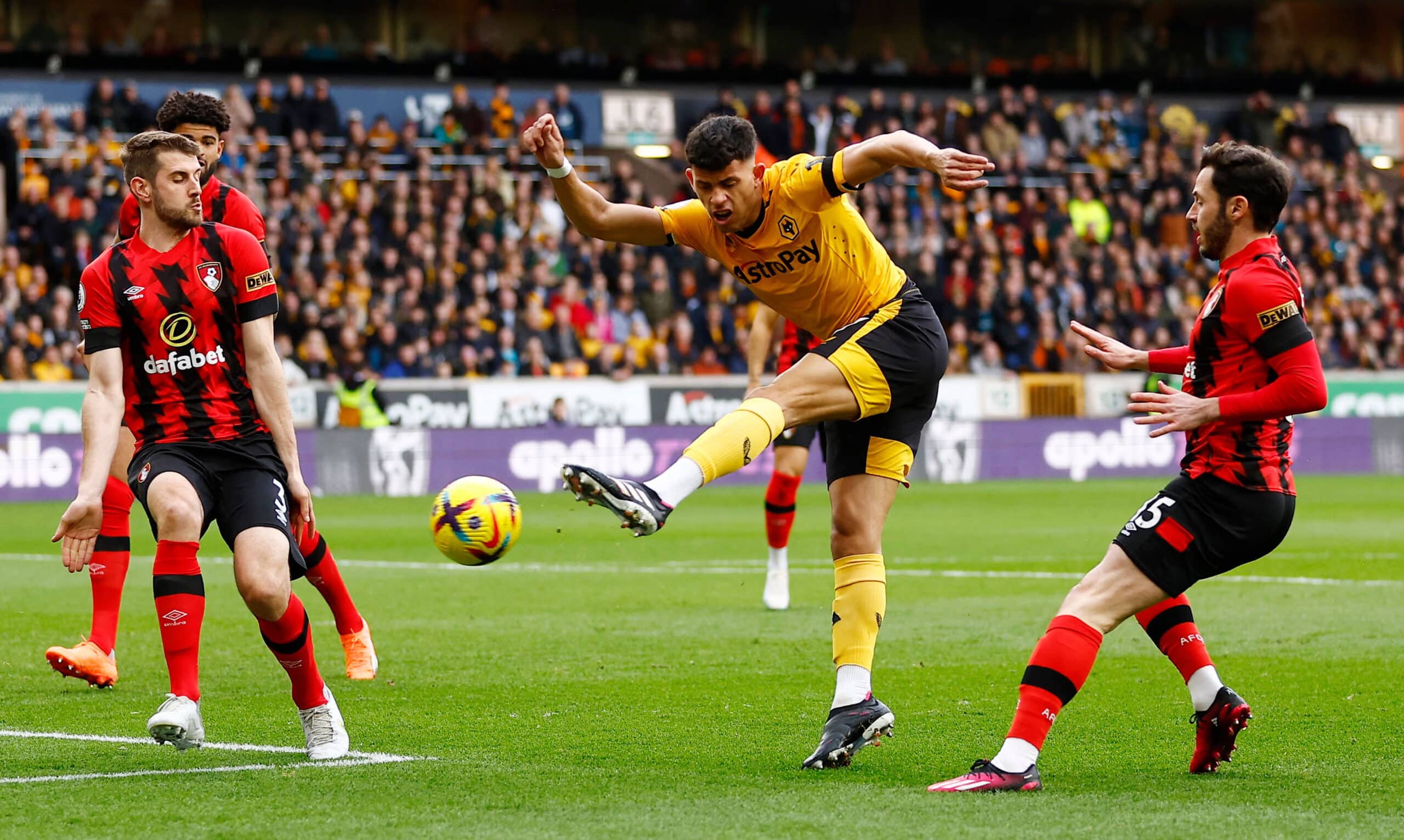 Nhận định bóng đá Wolves vs Bournemouth 22h00 ngày 30/11 (Ngoại Hạng Anh 2024/25)