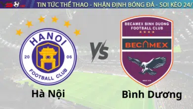 Nhận định bóng đá Hà Nội vs Bình Dương 19h15 ngày 14/11 V.League 2024/25