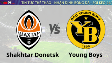 Nhận định bóng đá Shakhtar Donetsk vs Young Boys 00h45 ngày 7/11 (Champions League 2024/25)