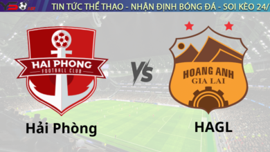Nhận định bóng đá Hải Phòng vs Hoàng Anh Gia Lai 19h15 ngày 19/11 V-League 2024