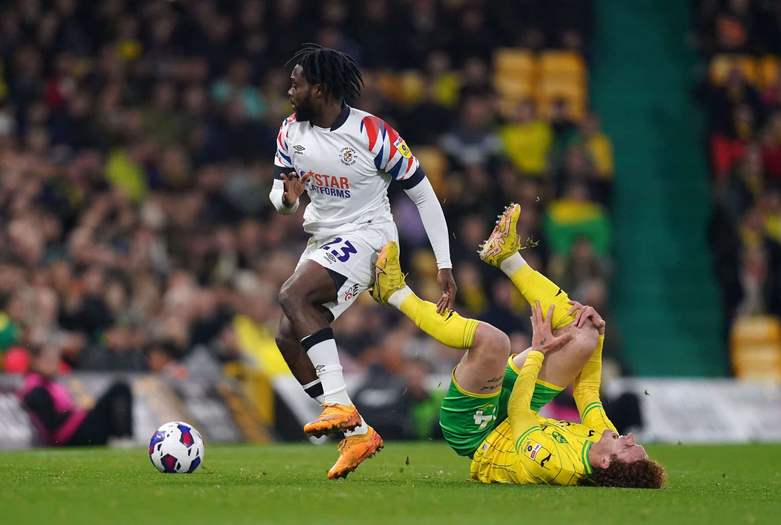 Nhan dinh bong da Luton vs Norwich 22h00 ngay 11 Hang nhat Anh 202425 scaled