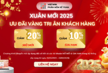 XUÂN MỚI 2025 – ƯU ĐÃI VÀNG TRI ÂN KHÁCH HÀNG VIETWIN