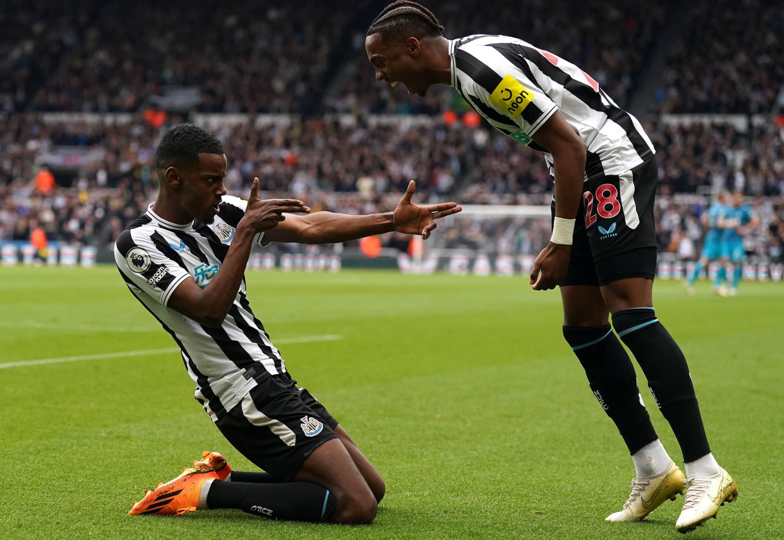 Nhận định bóng đá Tottenham vs Newcastle 19h30 ngày 4/1 (Ngoại Hạng Anh 2024/25)