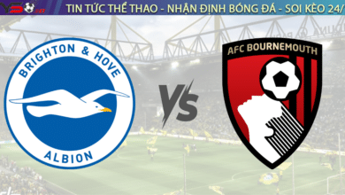 Nhận định Brighton vs Bournemouth 2h30 ngày 26/2, vòng 27 Ngoại hạng Anh