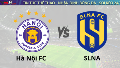 Nhận định bóng đá Hà Nội FC vs SLNA 19h15 ngày 09/02 V.League 2024/25