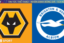 Nhận định bóng đá Wolves vs Brighton 21h00 ngày 10/5 Premier League 2024/25