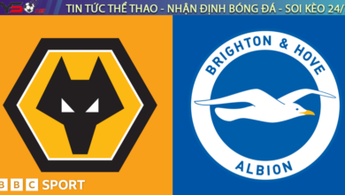 Nhận định bóng đá Wolves vs Brighton 21h00 ngày 10/5 Premier League 2024/25
